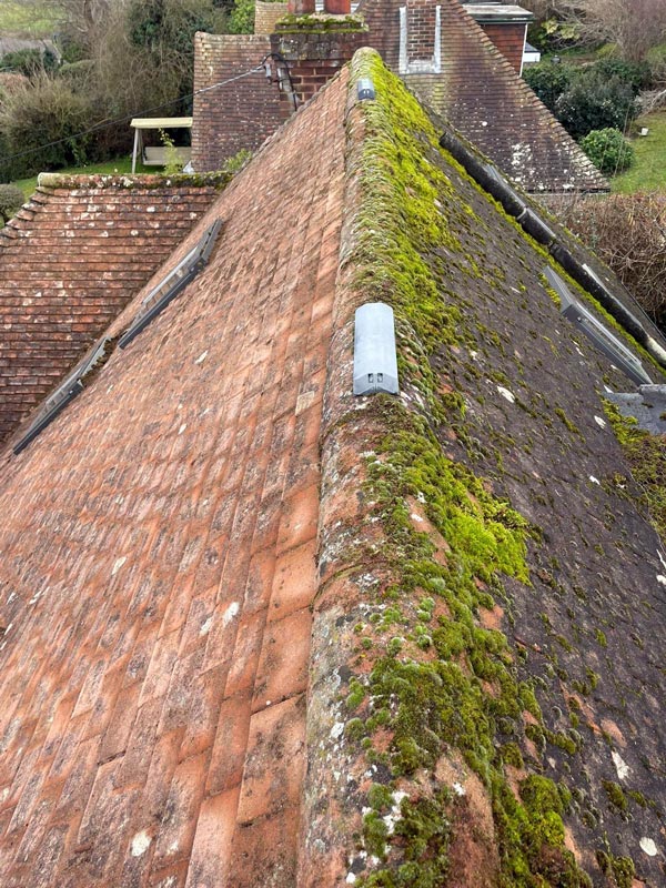 Roof Cleaning – Moss Removal